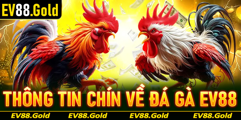 Thông tin chính về hệ thống đá gà EV88