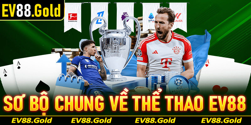 Khái quát sơ bộ chung về nền tảng cá cược thể thao EV88
