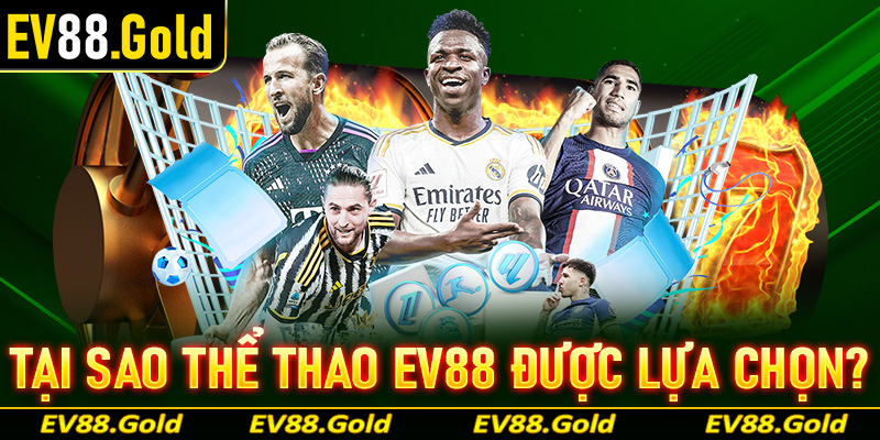 Tại sao trang cá cược thể thao EV88 ngày càng có đông đảo người lựa chọn?