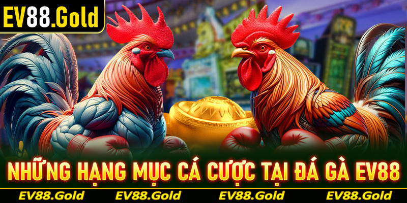 Những hạng mục cá cược chọi gà được ưa chuộng nhất tại nhà cái EV88