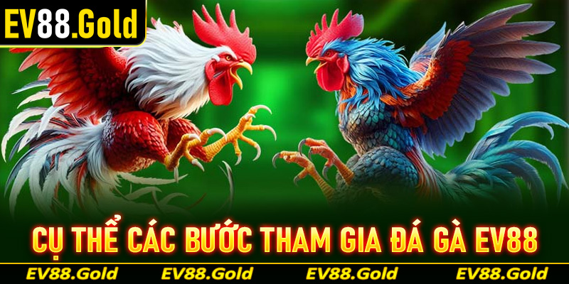 Hướng dẫn cụ thể các bước đơn giản để tham gia đá gà EV88